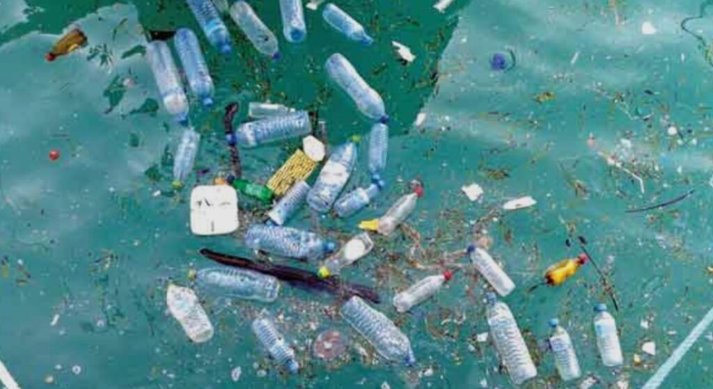 कचरे को खजाने में बदलना: नाइजीरिया में रीता इदेहाई का इकोबार्टर क्रांति