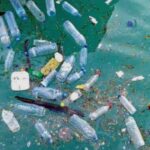 कचरे को खजाने में बदलना: नाइजीरिया में रीता इदेहाई का इकोबार्टर क्रांति