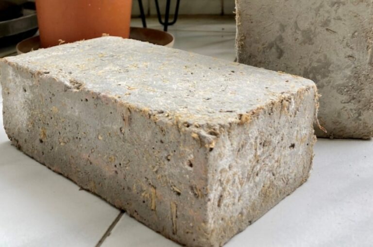 फसल कचरे की ईंटों से मिट्टी के चमत्कार तक!